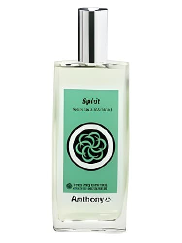 Spirit - روح