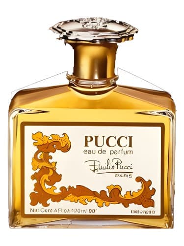 Pucci - پوچی