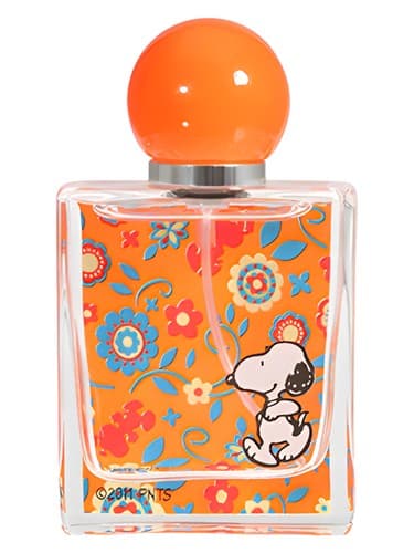 Endless Summer Orange Splash - اسپلش تابستانی بی پایان اورنج