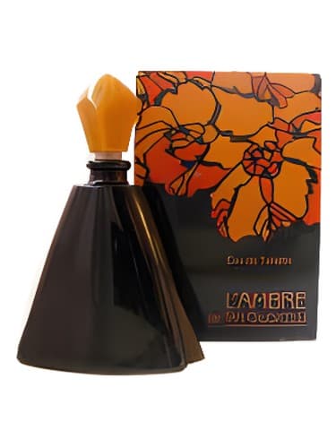 L'Ambre de Tan Giudicelli 