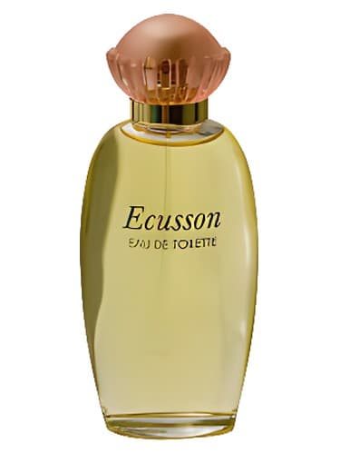 Ecusson - اکوسون