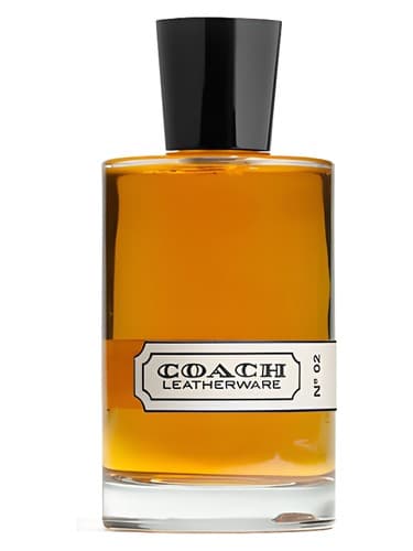 Coach Leatherware No. 02 - ظروف چرمی کوچ شماره 02