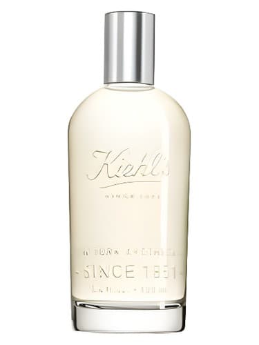 Aromatic Blends: Patchouli & Fresh Rose - ترکیبات معطر: نعناع هندی و گل رز تازه