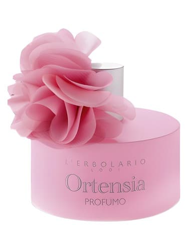 Ortensia - اورتنسیا