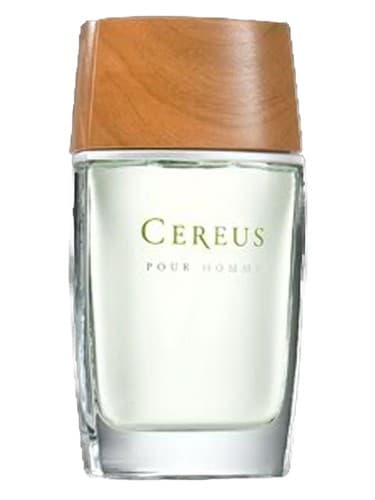 Cereus No.5 - سرئوس شماره 5