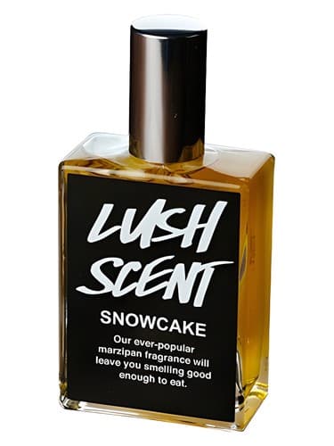 Snowcake 2013