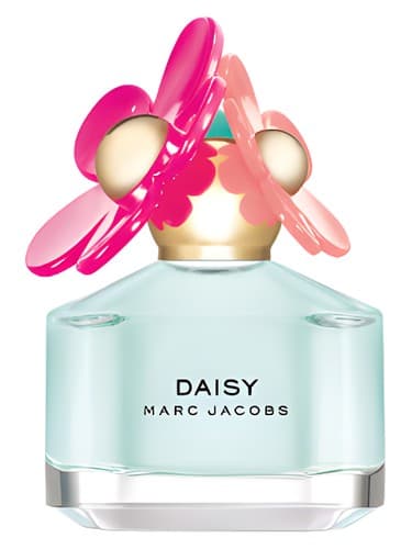Daisy Delight - دیزی دیلایت
