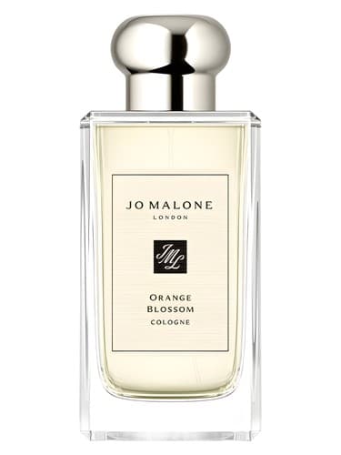 Orange Blossom - شکوفه اورنج