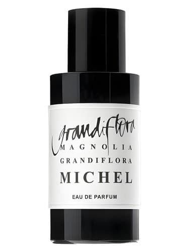 Magnolia Grandiflora Michel - مگنولیا گراندی فلورا میشل