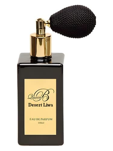 Desert Liwa - کویر لیوا