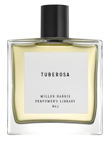 Tuberosa - توبروسا