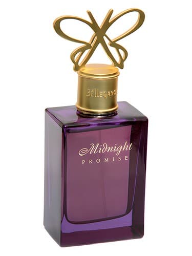 Midnight Promise