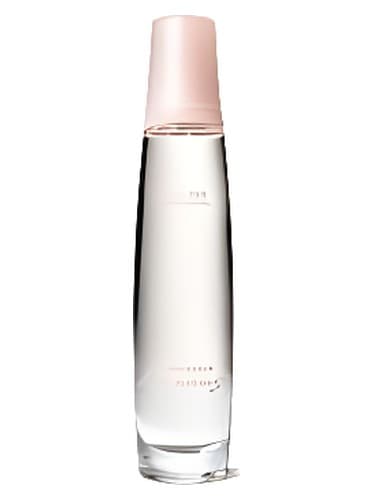 Private Spa Collection - Embrace Dreams