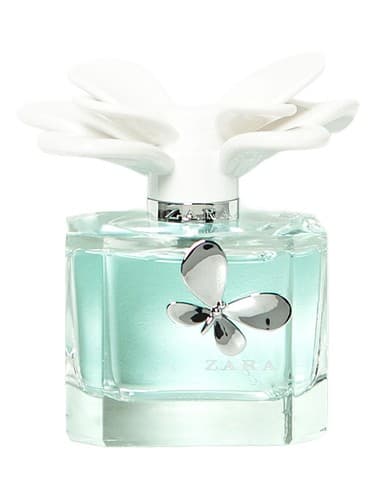 Zara Woman L'Eau
