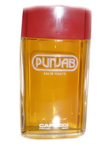 Punjab - پنجاب