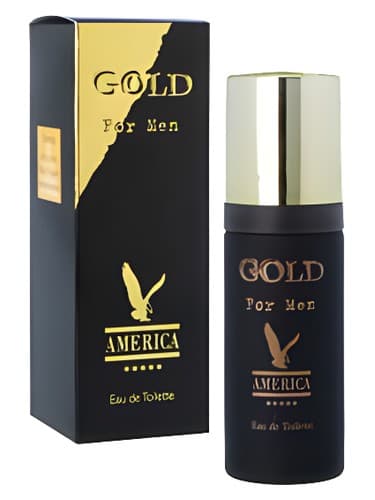 America Gold For Men - آمریکا طلا برای مردان