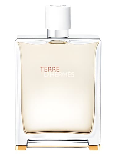 Terre d'Hermes Eau Tres Fraiche 