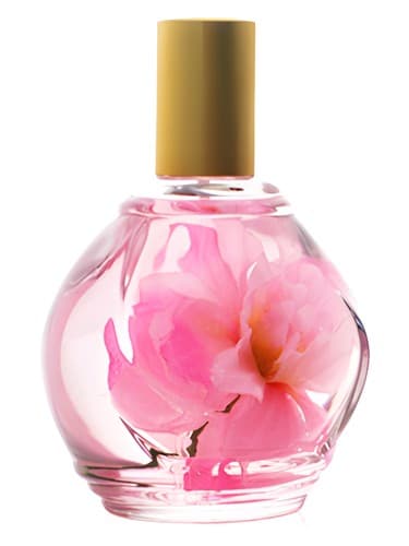 Parfum d'Ambiance Rose