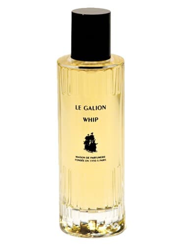 Whip (2014)