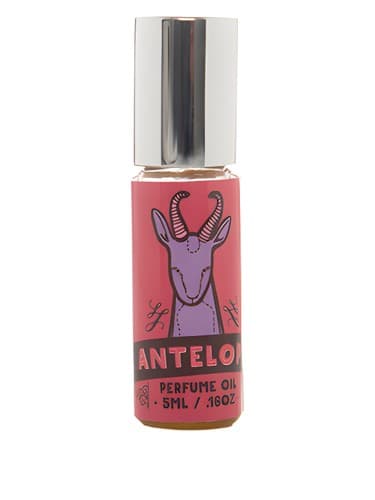 Antelope