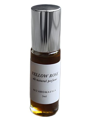 Yellow Rose