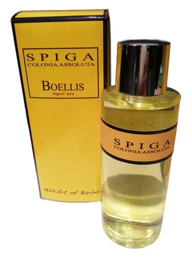 Spiga - اسپیگا