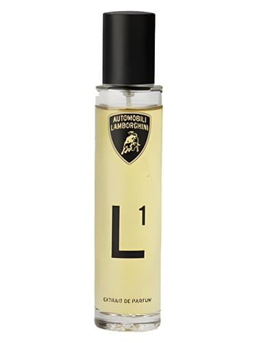 L1 