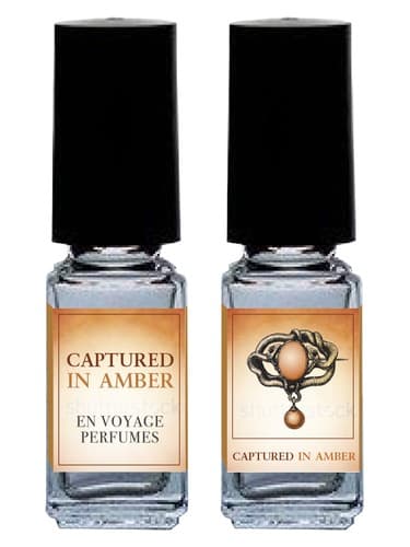 Captured in Amber - اسیر در امبر