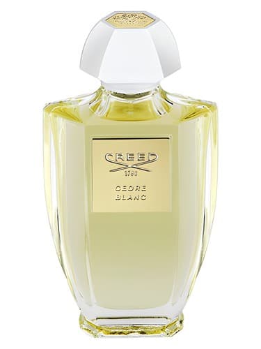 Cedre Blanc