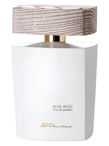 Rose Irisee - رز آیریزی