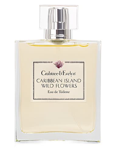 Caribbean Island Wild Flowers  