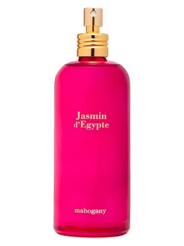 Jasmin D'Egypte