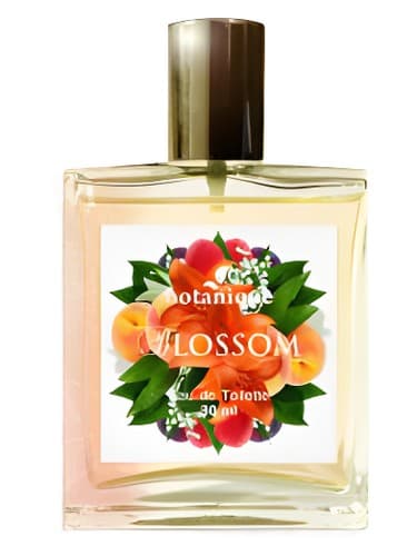 Blossom - شکوفه دادن