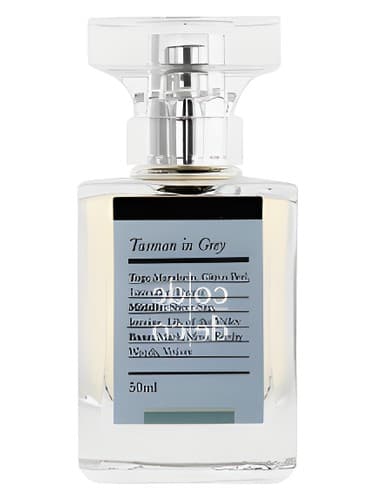Tasman in Grey - تاسمان در گری