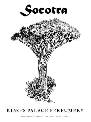 Socotra