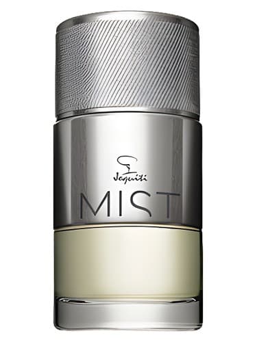Mist  