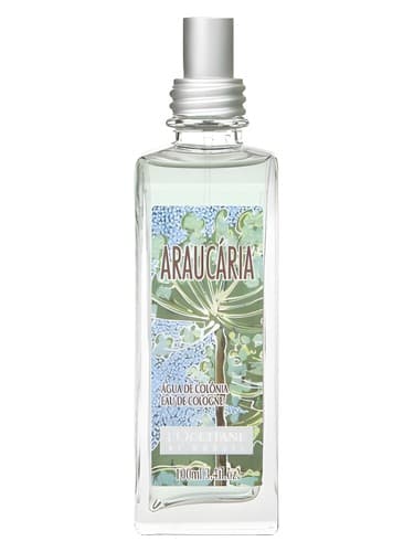 Araucária