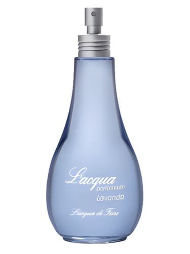 Lavender - اسطوخودوس