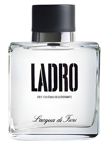 Ladro - لادرو