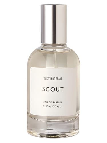 Scout - پیشاهنگی