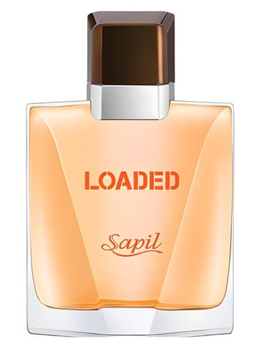 Loaded - بارگیری شد