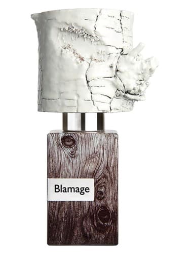 Blamage - سرزنش