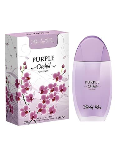Purple Orchid