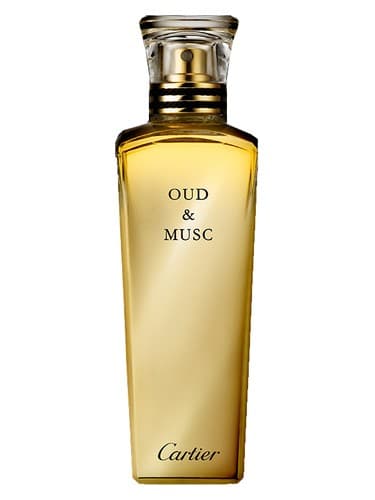 Oud & Musc - عود و موسیقی