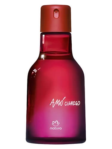 Chamego  