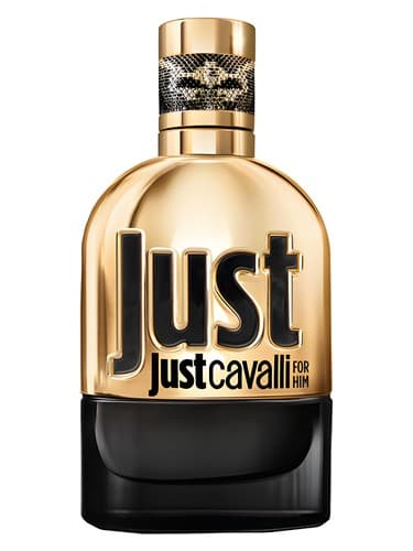 Just Cavalli Gold for Him - فقط کاوالی طلا برای او