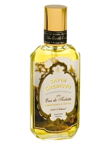 Capim Cheiroso - کاپیم چیروسو