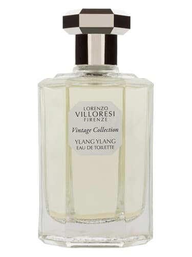 Vintage Collection Ylang Ylang - مجموعه قدیمی یلانگ یلانگ