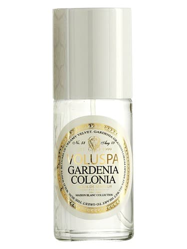 Gardenia Colonia - گاردنیا کلونیا