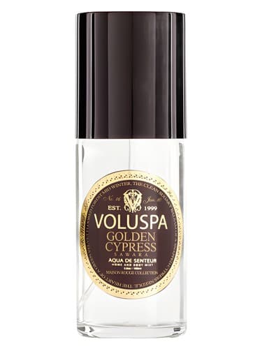 Golden Cypress Sawara - سرو گلد ساوارا